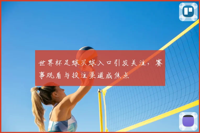 世界杯足球买球入口引发关注,赛事观看与投注渠道成焦点