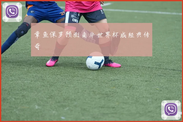 章鱼保罗预测南非世界杯成经典传奇