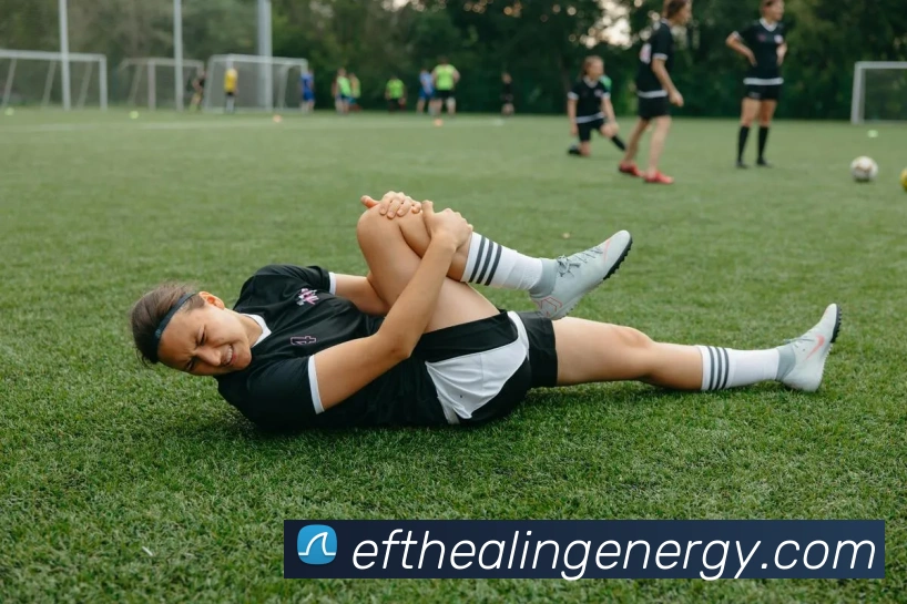 世界杯app官网APP 封面图